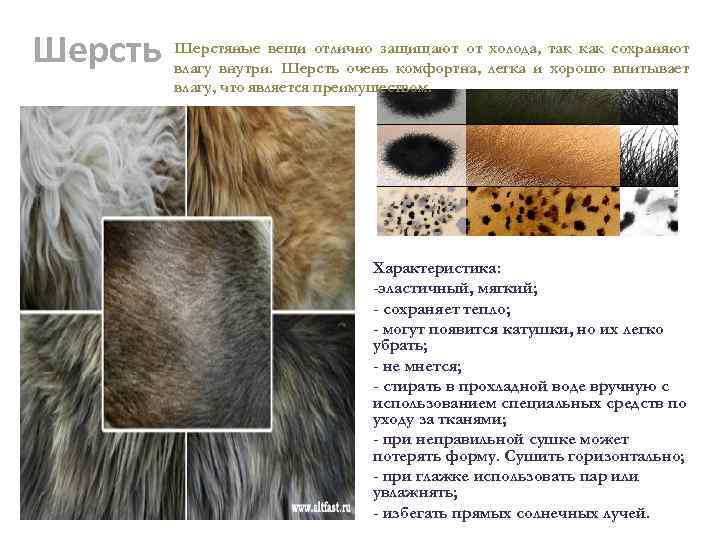 Шерсть Шерстяные вещи отлично защищают от холода, так как сохраняют влагу внутри. Шерсть очень