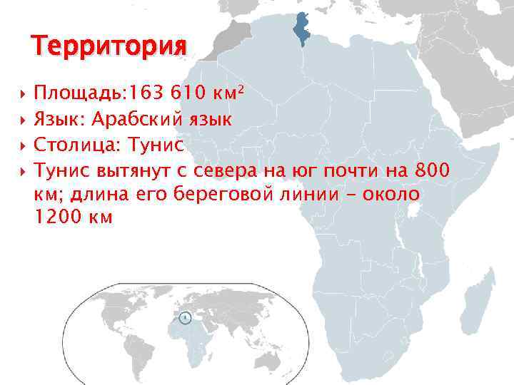 Территория Площадь: 163 610 км² Язык: Арабский язык Столица: Тунис вытянут с севера на