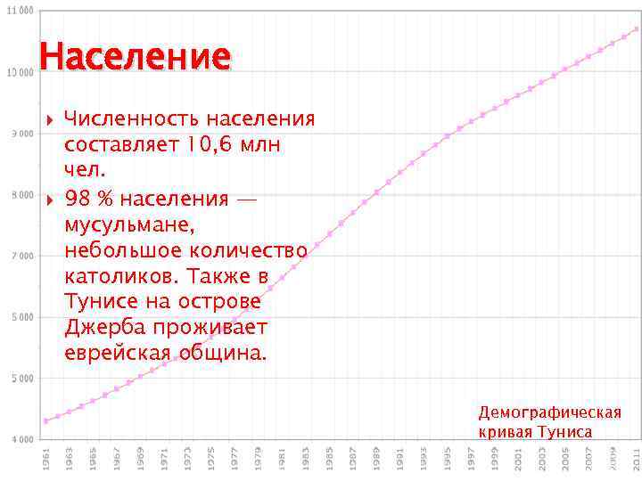 Население Численность населения составляет 10, 6 млн чел. 98 % населения — мусульмане, небольшое