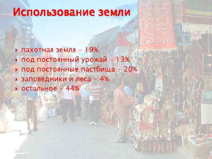 Использование земли пахотная земля - 19% под постоянный урожай - 13% под постоянные пастбища