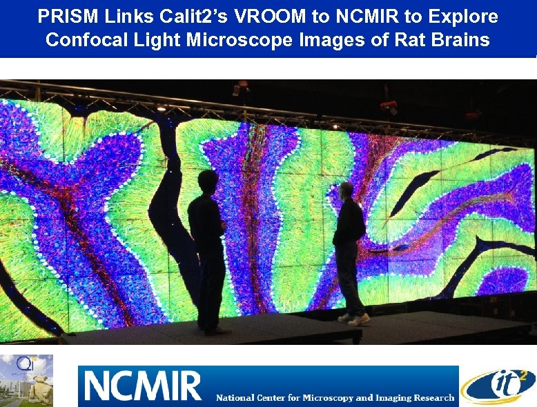 PRISM Links Calit 2’s VROOM to NCMIR to Explore Confocal Light Microscope Images of