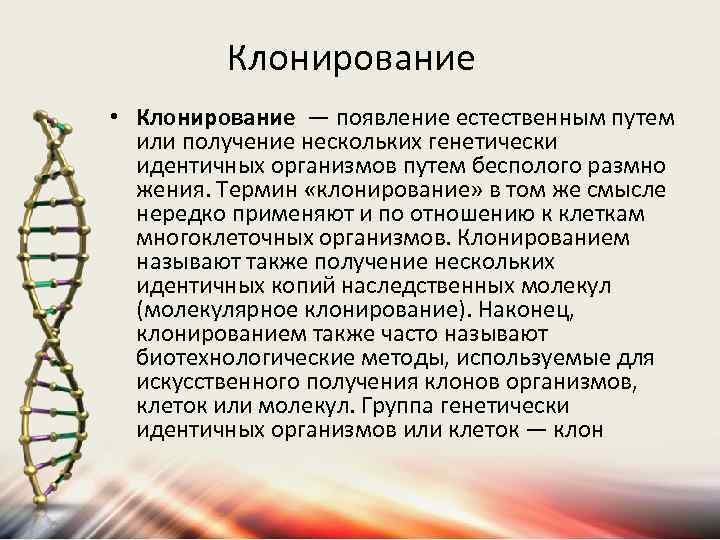 Клонирование • Клонирование — появление естественным путем или получение нескольких генетически идентичных организмов путем