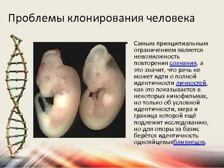 Проблемы клонирования человека • Самым принципиальным ограничением является невозможность повторения сознания, а это значит,