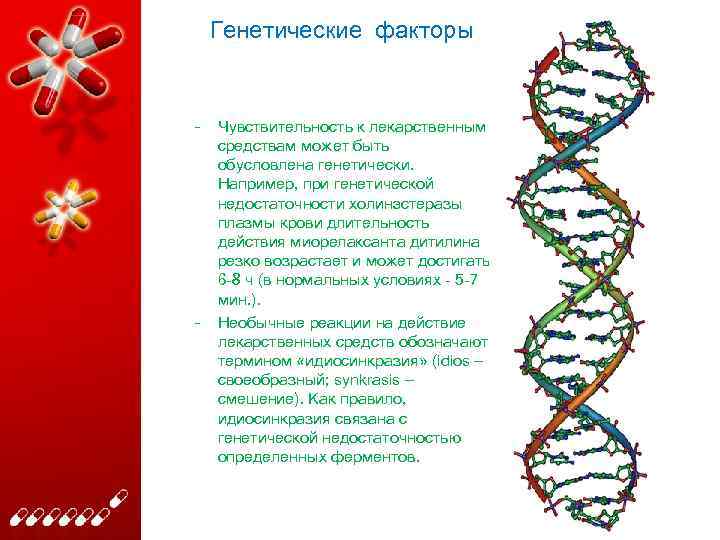 Генетические факторы – – Чувствительность к лекарственным средствам может быть обусловлена генетически. Например, при