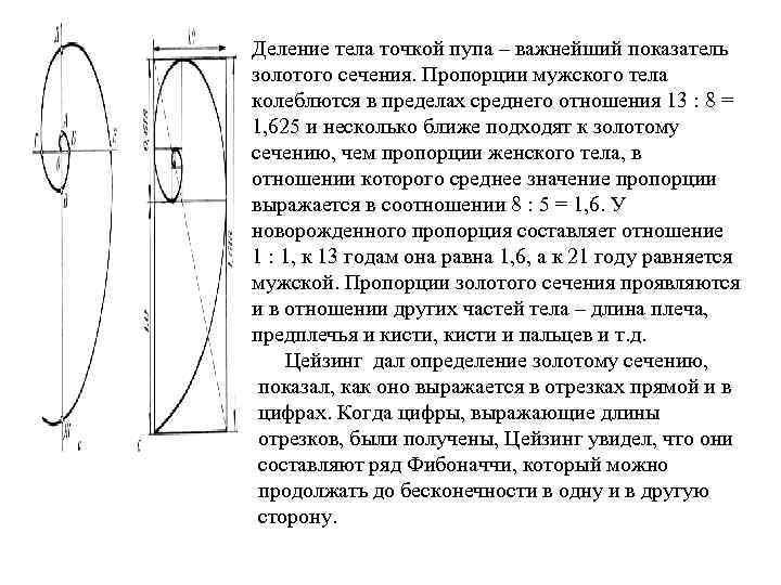 Деление тела точкой пупа – важнейший показатель золотого сечения. Пропорции мужского тела колеблются в