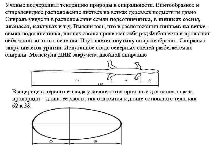 Ученые подчеркивал тенденцию природы к спиральности. Винтообразное и спиралевидное расположение листьев на ветках деревьев
