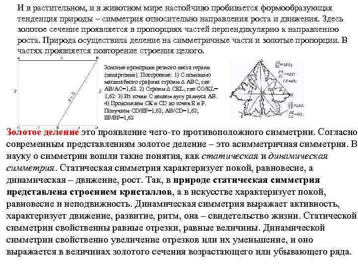 И в растительном, и в животном мире настойчиво пробивается формообразующая тенденция природы – симметрия