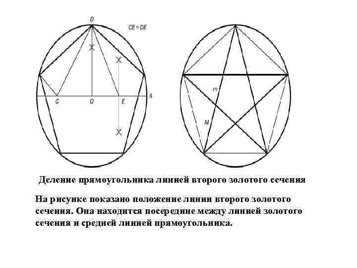 Деление прямоугольника линией второго золотого сечения На рисунке показано положение линии второго золотого сечения.