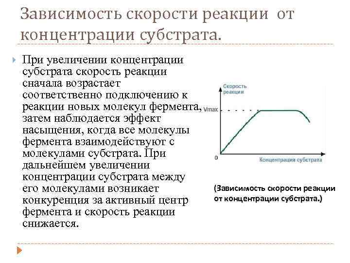 Скорость реакции ферментов