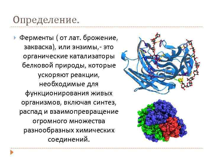 Эффективные ферменты. Ферменты это в биологии. Биологически активные вещества ферменты. Ферменты биологические катализаторы. Ферменты определение.