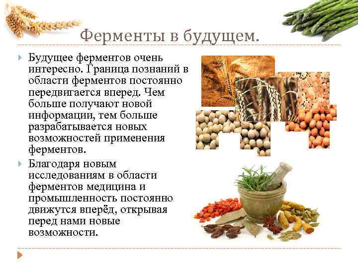 Ферменты в будущем. Будущее ферментов очень интересно. Граница познаний в области ферментов постоянно передвигается