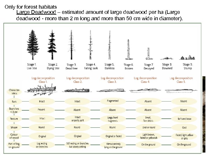 Only forest habitats Large Deadwood – estimated amount of large deadwood per ha (Large