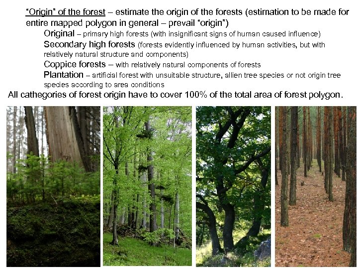 “Origin” of the forest – estimate the origin of the forests (estimation to be