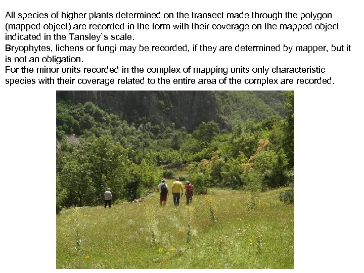 All species of higher plants determined on the transect made through the polygon (mapped