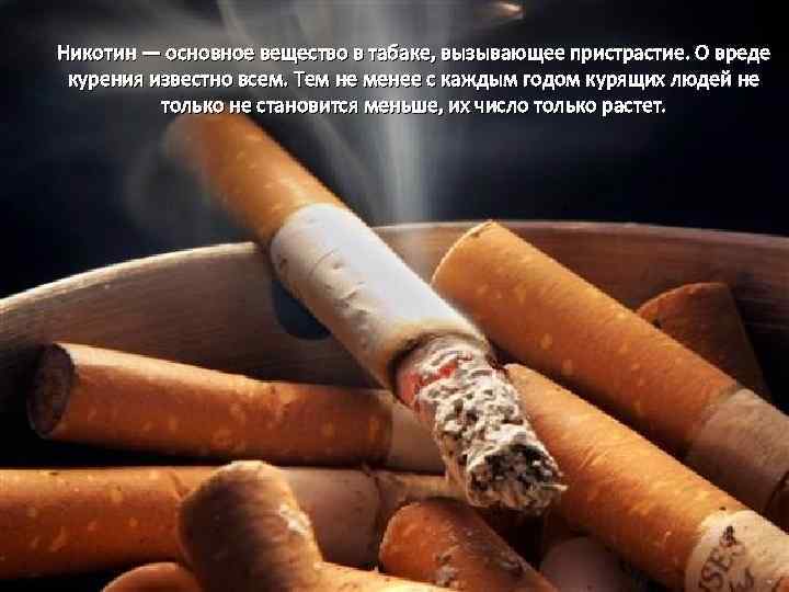 Никотин — основное вещество в табаке, вызывающее пристрастие. О вреде курения известно всем. Тем
