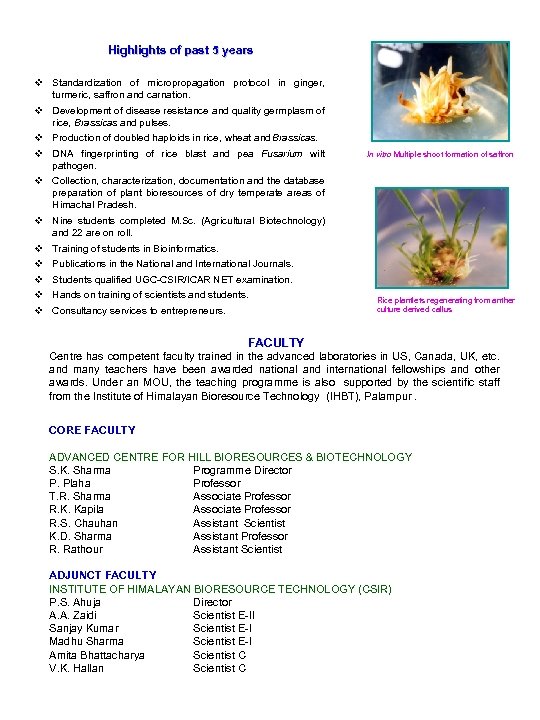 Highlights of past 5 years v Standardization of micropropagation protocol in ginger, turmeric, saffron