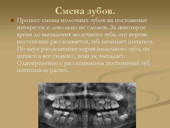 Смена зубов. Процесс смены молочных зубов.