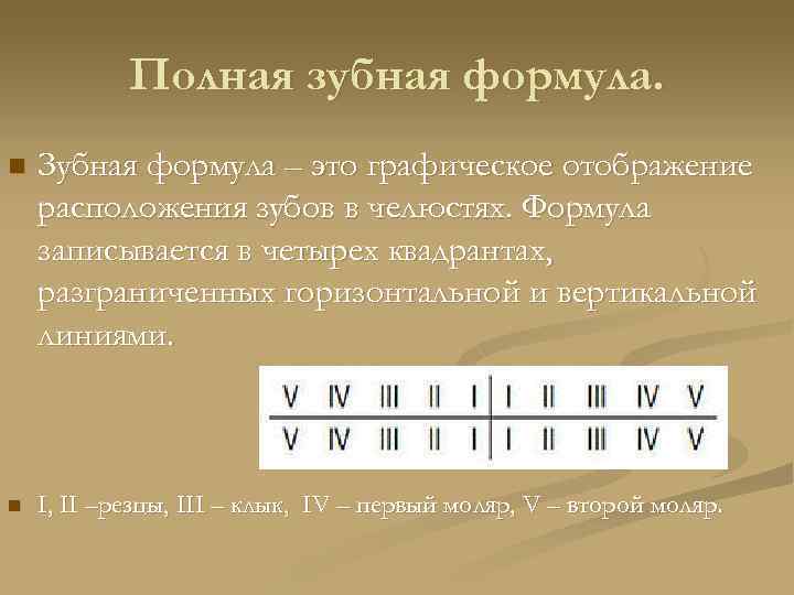 Зубная формула картинка