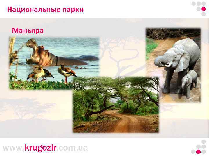 Национальные парки Танзания. Килиманджаро. Маньяра www. krugozir. com. ua 
