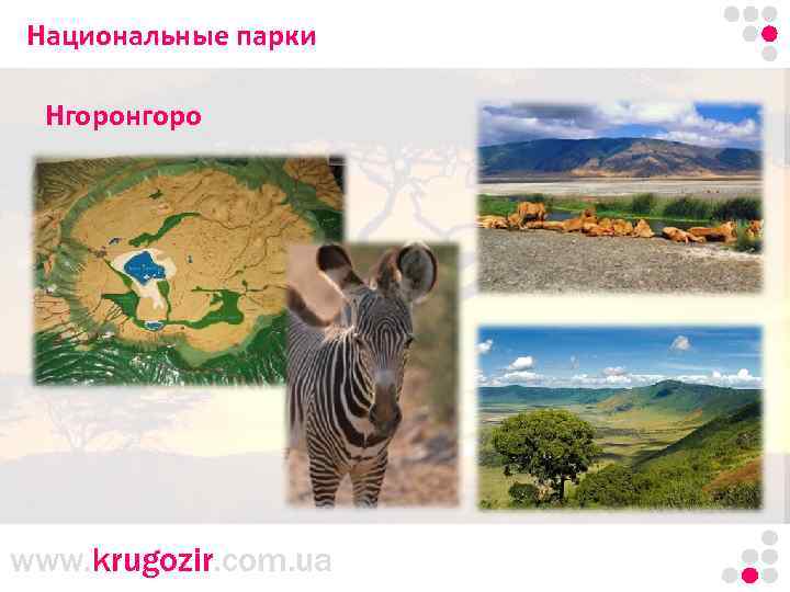 Национальные парки Танзания. Килиманджаро. Нгоронгоро www. krugozir. com. ua 