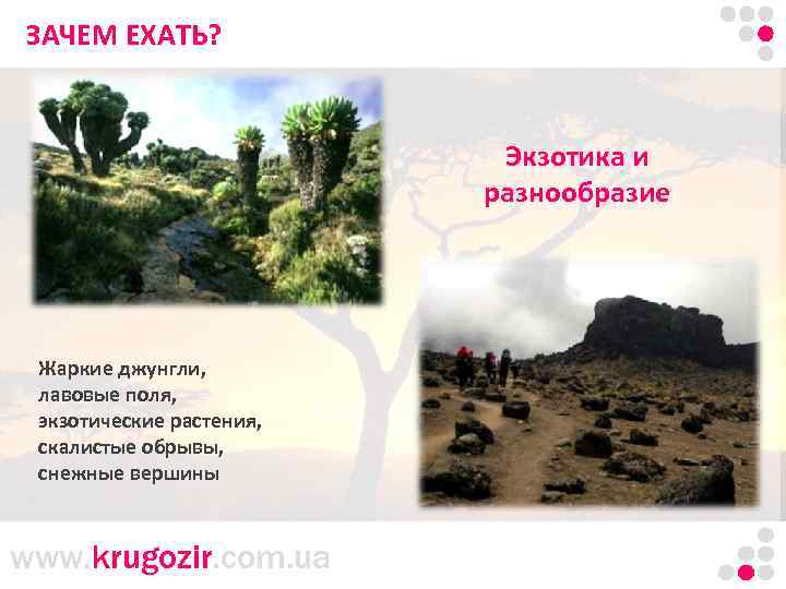 ЗАЧЕМ Танзания. Килиманджаро. ЕХАТЬ? Экзотика и разнообразие Жаркие джунгли, лавовые поля, экзотические растения, скалистые