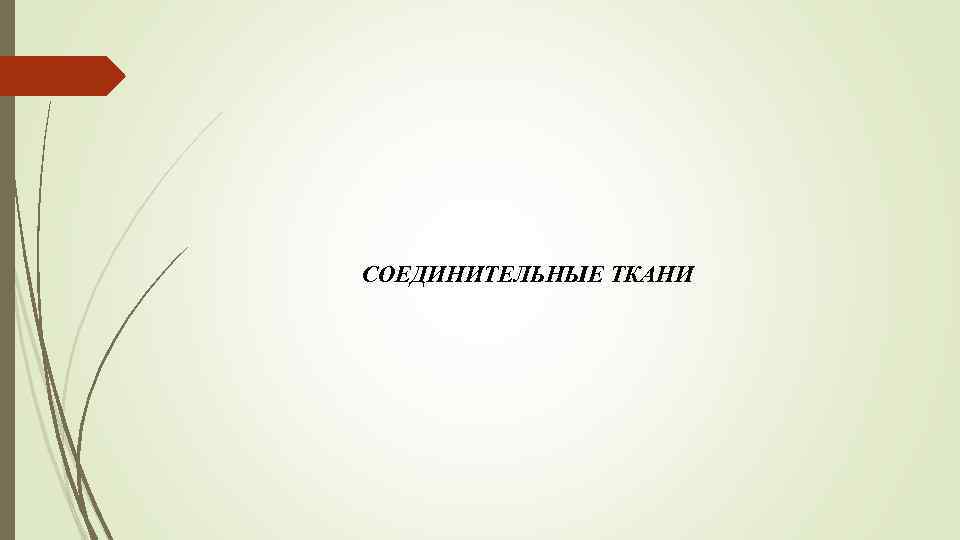 СОЕДИНИТЕЛЬНЫЕ ТКАНИ 