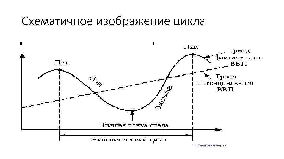 Схематичное изображение цикла Источник: www. aup. ru 