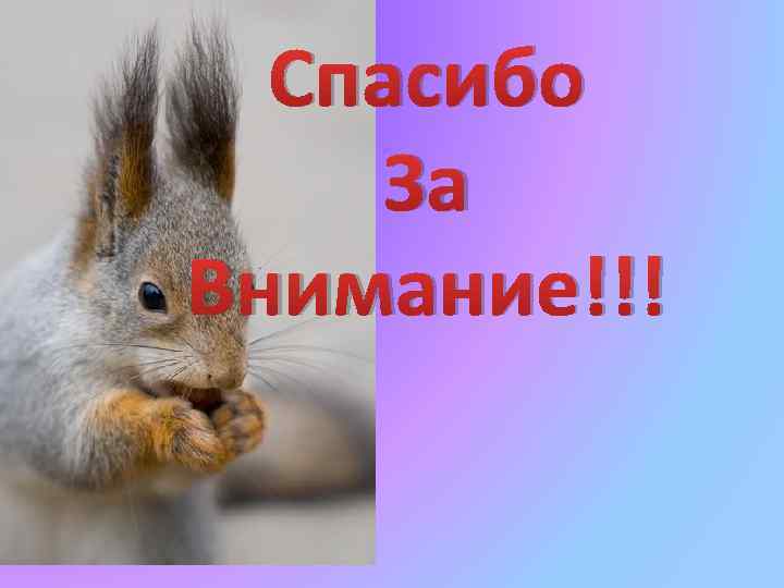 Спасибо За Внимание!!! 