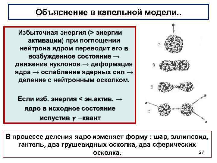 Объяснение в капельной модели. . • В процессе деления ядро изменяет форму : шар,