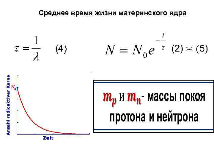 Среднее время жизни материнского ядра (4) 