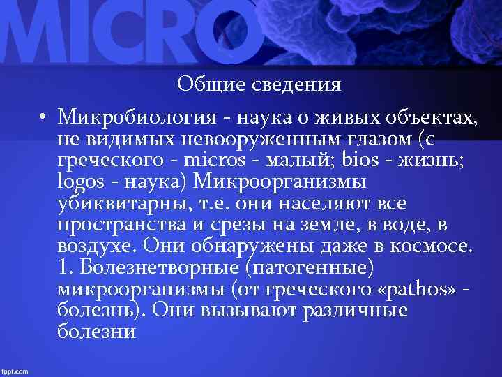 Общие сведения • Микробиология - наука о живых объектах, не видимых невооруженным глазом (с