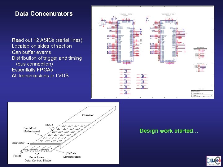 Data Concentrators Read out 12 ASICs (serial lines) Located on sides of section Can