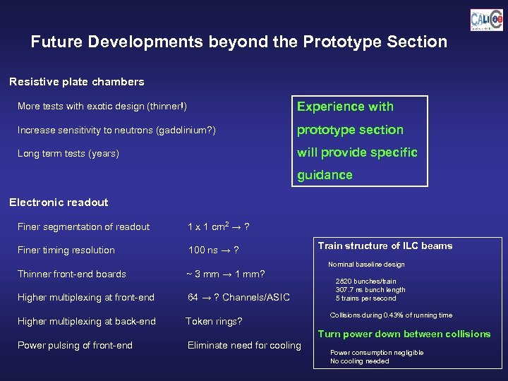 Future Developments beyond the Prototype Section Resistive plate chambers More tests with exotic design