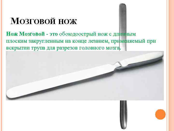 МОЗГОВОЙ НОЖ Нож Мозговой - это обоюдоострый нож с длинным плоским закругленным на конце