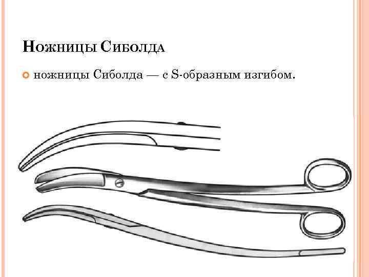 НОЖНИЦЫ СИБОЛДА ножницы Сиболда — с S образным изгибом. 