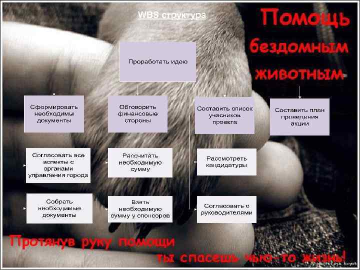 WBS структура 