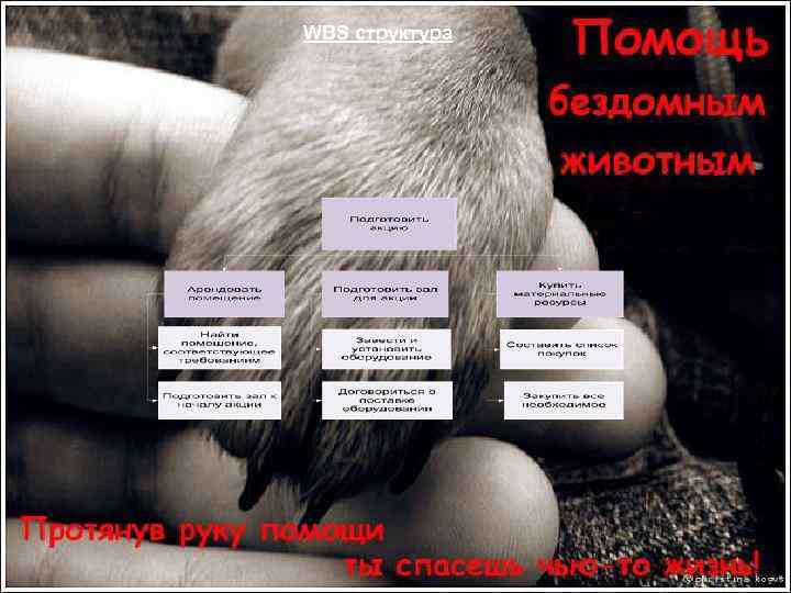 WBS структура 