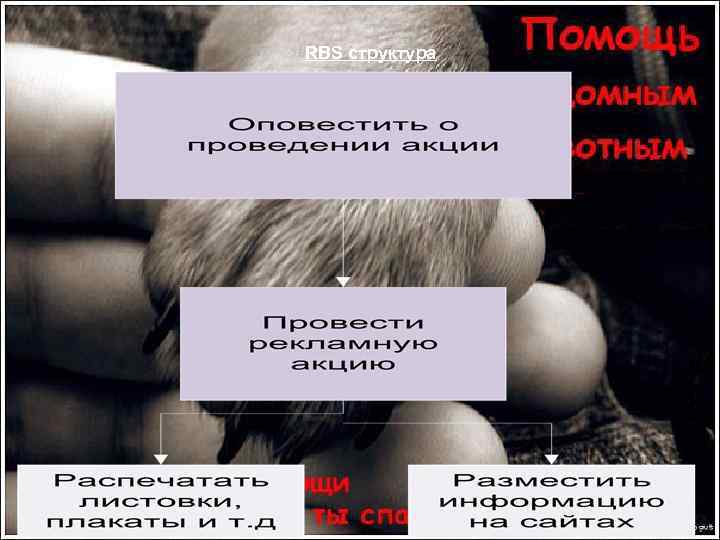 RBS структура 