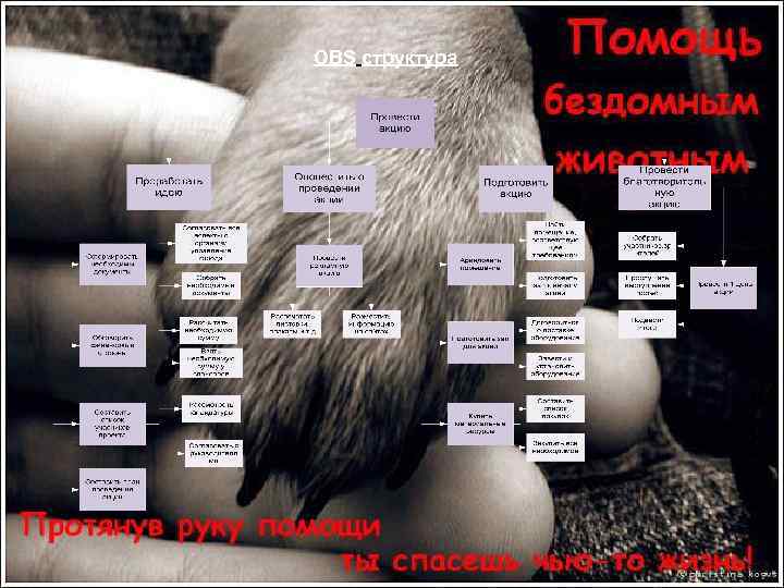 OBS структура 