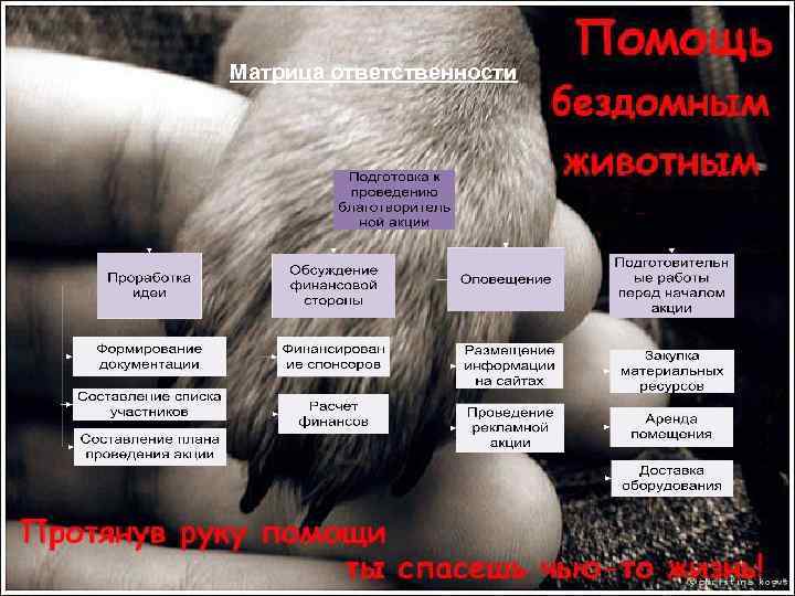 Матрица ответственности 