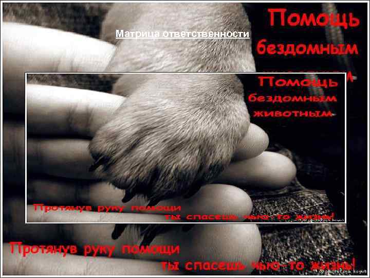 Матрица ответственности 