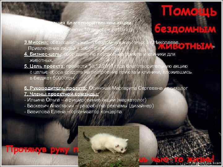 1. Организация благотворительной акции. 2. Дата начала проекта: 10 декабря 2010 года. 3. Миссия: