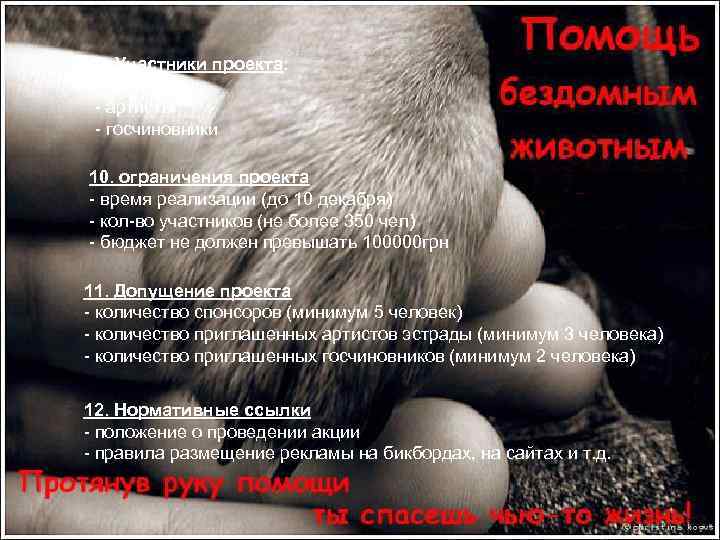 9. Участники проекта: - спонсоры - артисты - госчиновники 10. ограничения проекта - время