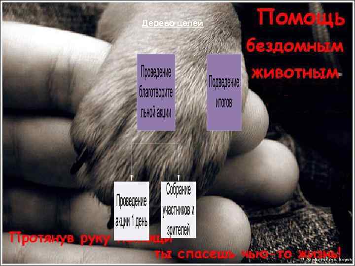 Дерево целей 