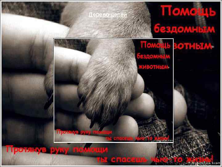 Дерево целей 