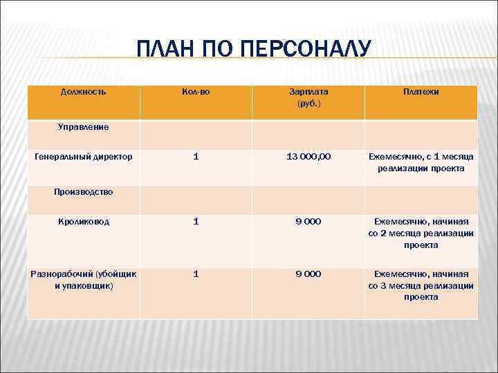 ПЛАН ПО ПЕРСОНАЛУ Должность Кол-во Зарплата (руб. ) Платежи 1 13 000, 00 Ежемесячно,