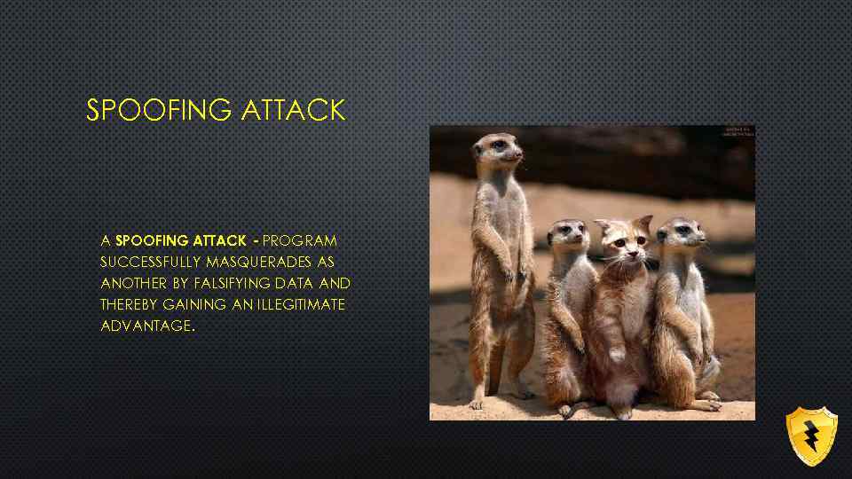 SPOOFING ATTACK A SPOOFING ATTACK - PROGRAM SUCCESSFULLY MASQUERADES AS ANOTHER BY FALSIFYING DATA