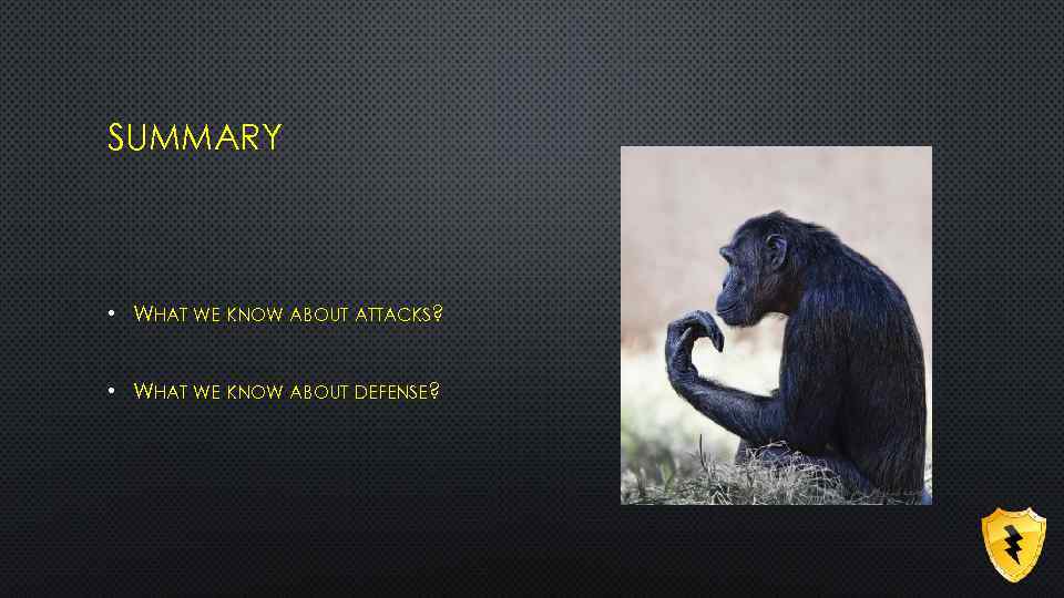 SUMMARY • WHAT WE KNOW ABOUT ATTACKS? • WHAT WE KNOW ABOUT DEFENSE? 
