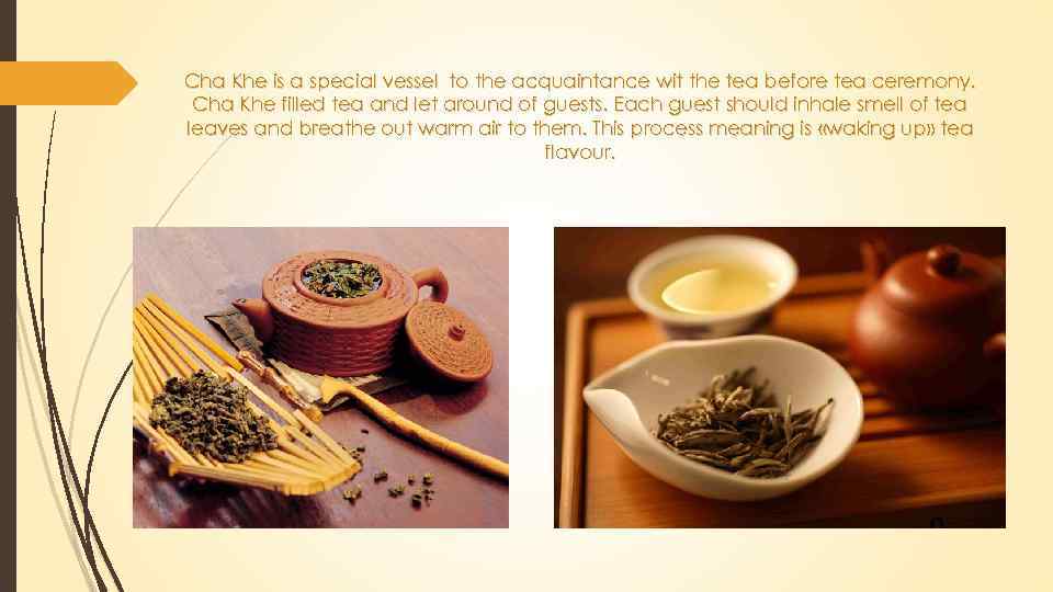 Cha Khe is a special vessel to the acquaintance wit the tea before tea