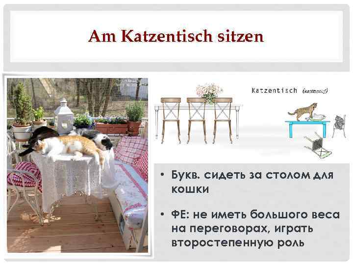 Am Katzentisch sitzen • Букв. сидеть за столом для кошки • ФЕ: не иметь